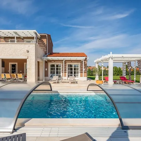 فيلة Design Terra