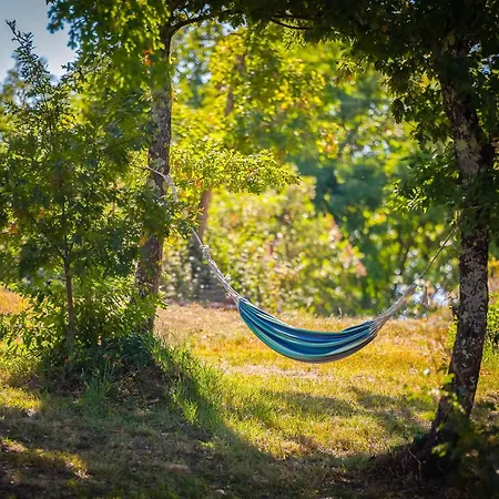 Design Terra * Svetvinčenat